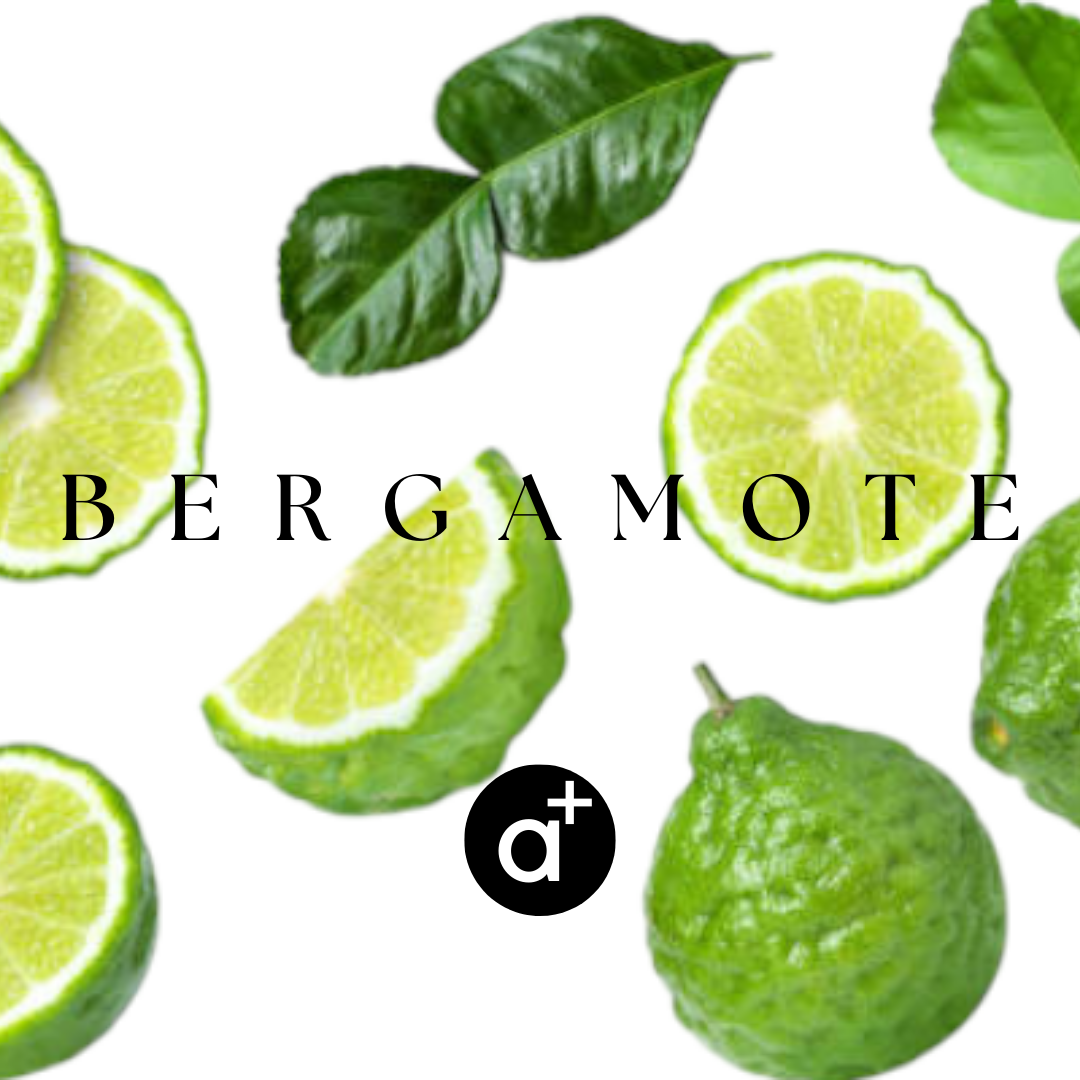 BERGAMOTE